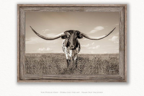 Debra Gail Fine Art Reclaimed Barnwood Framed Print / 10x8 Longhorn Cow Print or Canvas by Debra Gail - Neutral Farmhouse Decor