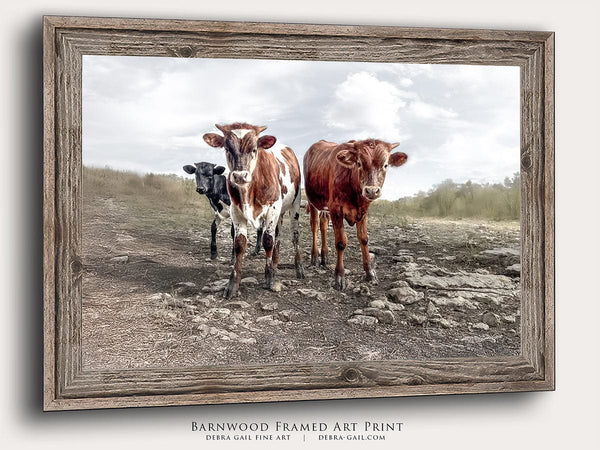 Debra Gail Fine Art Reclaimed Barnwood Framed Print / 10x8 Longhorn Cow Print Picture - Cute Baby Calves