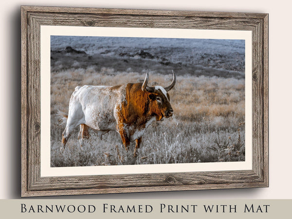 Debra Gail Fine Art Reclaimed Barnwood Framed Print / 10x8 Longhorn Wall Art Canvas Print