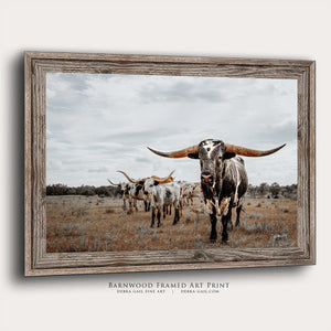Longhorn wall decor – rustic Western fine art print by Debra Gail Fine Art