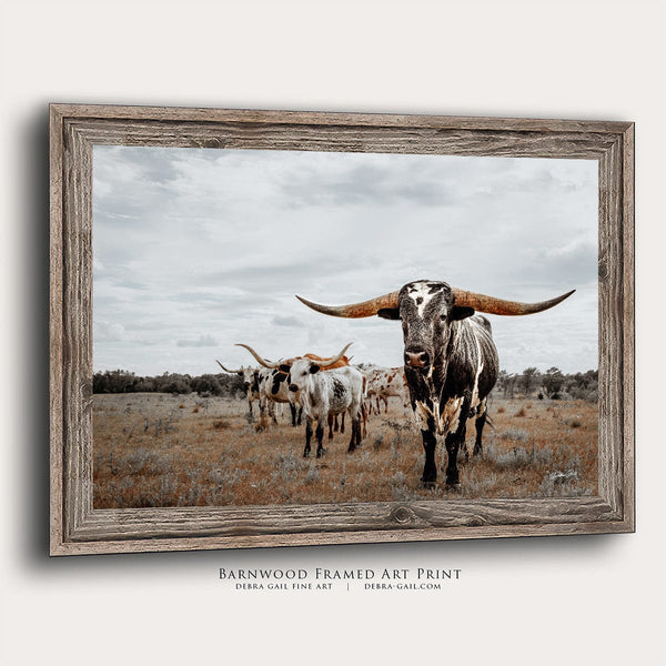 Debra Gail Fine Art Reclaimed Barnwood Framed Print / 10x8 Majestic Texas Longhorns - Western Ranch Decor