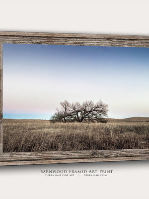 Kansas Flint Hills wall art – sunrise prairie landscape photography by Debra Gail Fine Art