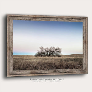 Kansas Flint Hills wall art – sunrise prairie landscape photography by Debra Gail Fine Art