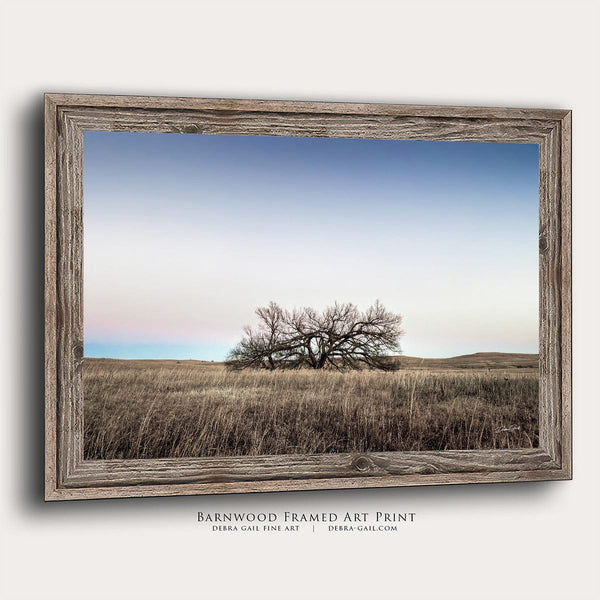 Debra Gail Fine Art Reclaimed Barnwood Framed Print / 10x8 Minimalist Kansas Flint Hills Tree Art Print Decor