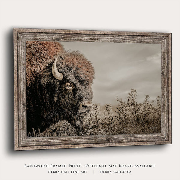 Debra Gail Fine Art Reclaimed Barnwood Framed Print / 10x8 Rustic Bison Western Wall Art - Fine Art Canvas or Print No. 2185