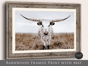 Texas Longhorn wall canvas barnwood framed Western fine art print by Debra Gail Fine Art