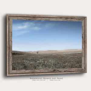 Flint Hills wall art – prairie tree landscape photography by Debra Gail Fine Art