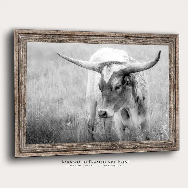 Debra Gail Fine Art Reclaimed Barnwood Framed Print / 10x8 Western Home Wall Decor - Longhorn Cow Canvas