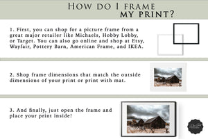 Neutral farmhouse wall art – rustic set of 4 canvas prints Debra Gail Fine Art