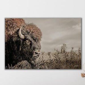 Debra Gail Fine Art Rustic Bison Western Wall Art - Fine Art Canvas or Print No. 2185