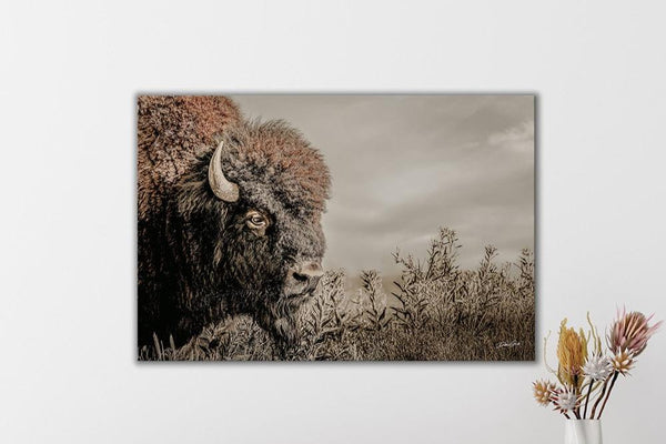 Debra Gail Fine Art Rustic Bison Western Wall Art - Fine Art Canvas or Print No. 2185