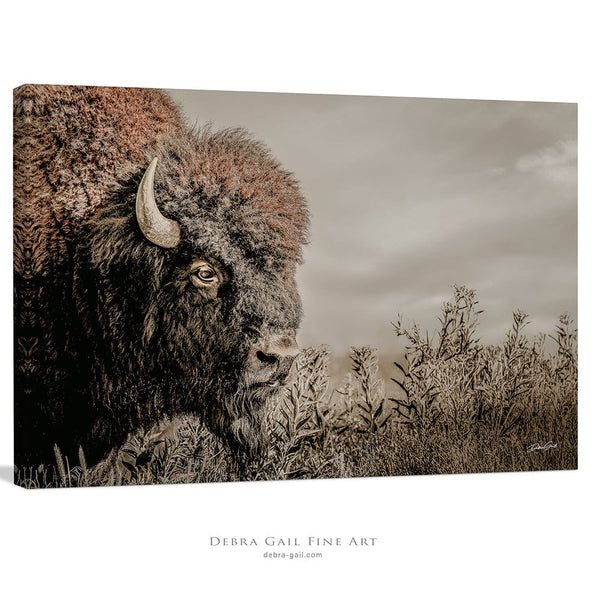 Debra Gail Fine Art Rustic Bison Western Wall Art - Fine Art Canvas or Print No. 2185