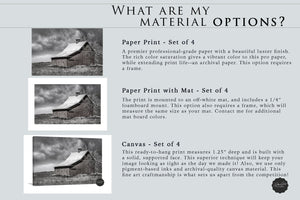 Farmhouse gallery set of 4 canvas prints by Debra Gail