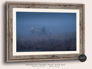 Elk wall art – Western wildlife fine art photography by Debra Gail Fine Art