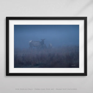 Elk wall art – Western wildlife fine art photography by Debra Gail Fine Art