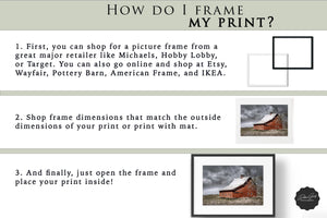 Old red barn wall art canvas print – farmhouse decor by Debra Gail Fine Art