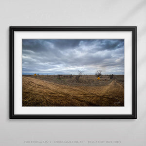 Farm and ranch wall art – rural road pasture photography print by Debra Gail Fine Art