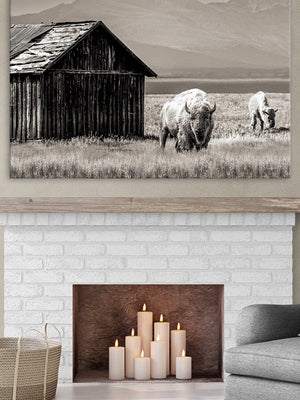 Buffalo Bison wall art canvas – rustic prairie photography print by Debra Gail Fine Art