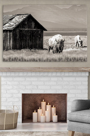 Buffalo Bison wall art canvas – rustic prairie photography print by Debra Gail Fine Art