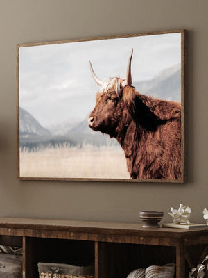Highland cow wall art – rustic farmhouse fine art print by Debra Gail Fine Art