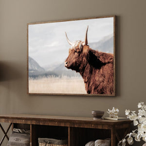 Highland cow wall art – rustic farmhouse fine art print by Debra Gail Fine Art