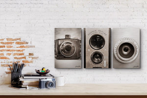 Vintage camera collection canvas fine art print Debra Gail