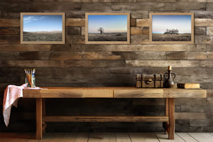 Set of 3 Flint Hills wall art – sunrise prairie landscape photography by Debra Gail Fine Art