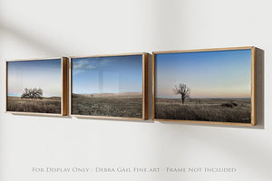 Set of 3 Flint Hills wall art – sunrise prairie landscape photography by Debra Gail Fine Art
