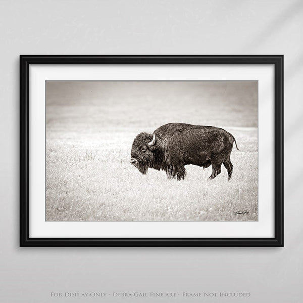 Debra Gail Fine Art SOLITARY BISON - FINE ART PHOTOGRAPHY PRINT RUSTIC WESTERN DECOR