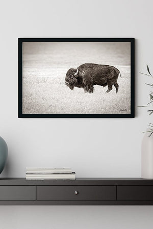 Buffalo fine art print – Great Plains wildlife wall decor by Debra Gail Fine Art