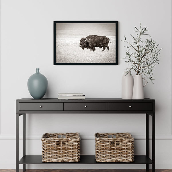 Debra Gail Fine Art SOLITARY BISON - FINE ART PHOTOGRAPHY PRINT RUSTIC WESTERN DECOR