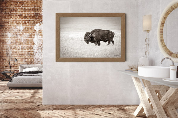 Debra Gail Fine Art SOLITARY BISON - FINE ART PHOTOGRAPHY PRINT RUSTIC WESTERN DECOR