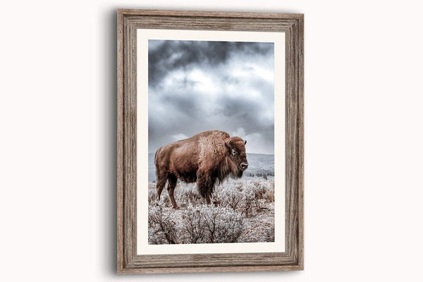 Debra Gail Fine Art SPIRIT OF THE WILD WEST - BISON WESTERN DECOR