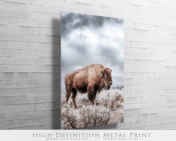 Debra Gail Fine Art SPIRIT OF THE WILD WEST - BISON WESTERN DECOR