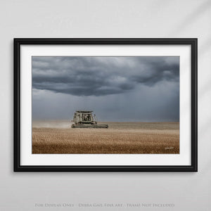 Combine harvest wall art – wheat field farmhouse fine art print by Debra Gail Fine Art