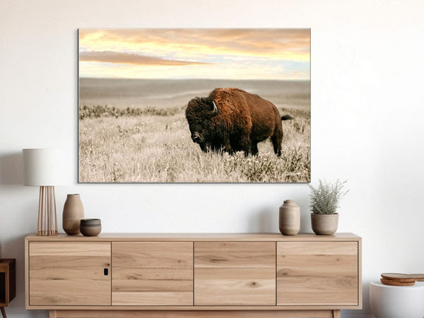 Debra Gail Fine Art SUNSET PHOTOGRAPHY - THE BISON BULL