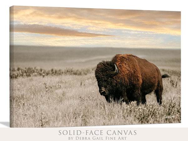 Debra Gail Fine Art SUNSET PHOTOGRAPHY - THE BISON BULL