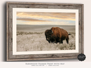 Buffalo wall art – Great Plains wildlife wall decor by Debra Gail Fine Art