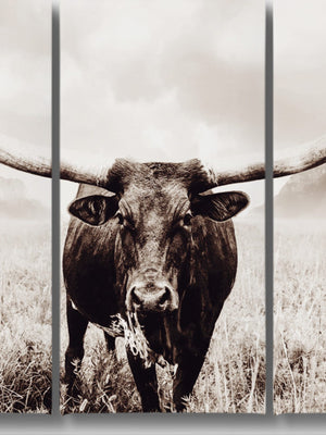 buffalo split panel triptych wall art – rustic Western canvas prints