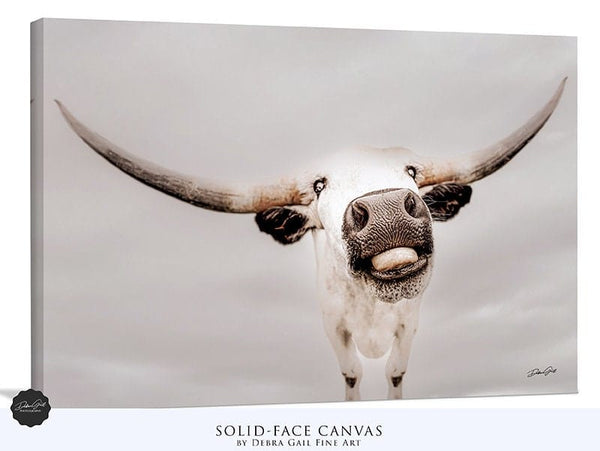 Debra Gail Fine Art Texas Longhorn Canvas Print - Farmhouse Nursery Art