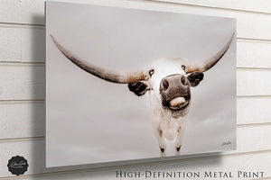 Texas Longhorn wall art – Western ranch photography print by Debra Gail Fine Art