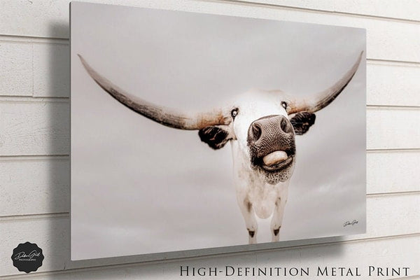 Debra Gail Fine Art Texas Longhorn Canvas Print - Farmhouse Nursery Art