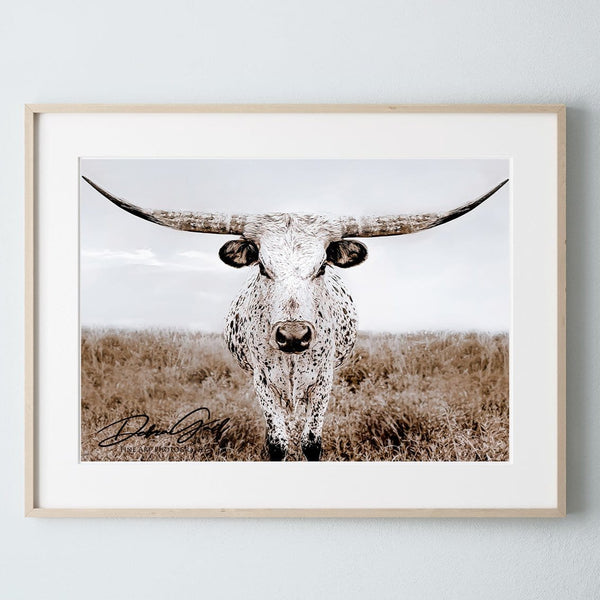 Debra Gail Fine Art Texas Longhorn Canvas Wall Art