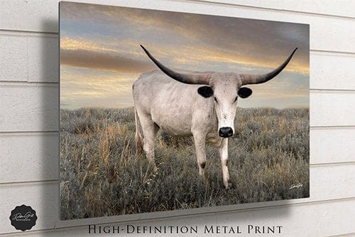 Debra Gail Fine Art Texas Longhorn Cow Canvas Print - Farmhouse Decor