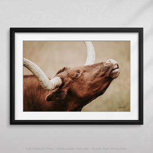 Texas longhorn canvas wall art Western style decor large cow print framed gallery