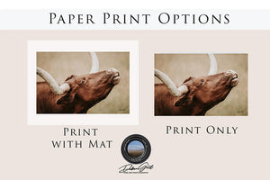 Texas longhorn canvas wall art Western style decor large cow print framed gallery