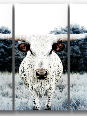 Cow triptych wall art – rustic Western split canvas photography by Debra Gail Fine Art