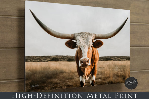 Debra Gail Fine Art Texas Longhorn in Neutral Tones - Rustic Farmhouse Decor