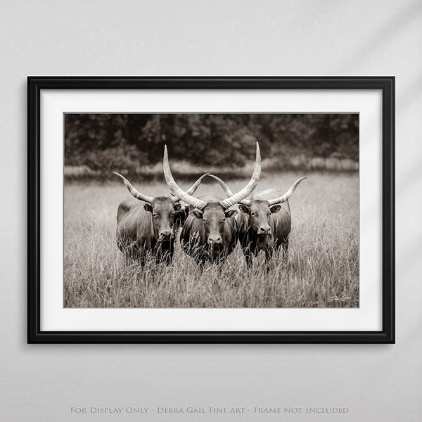 Debra Gail Fine Art Texas Longhorn Watusi Art - Western Decor