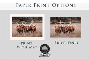 Texas longhorn canvas wall art Western style decor large cow print framed gallery